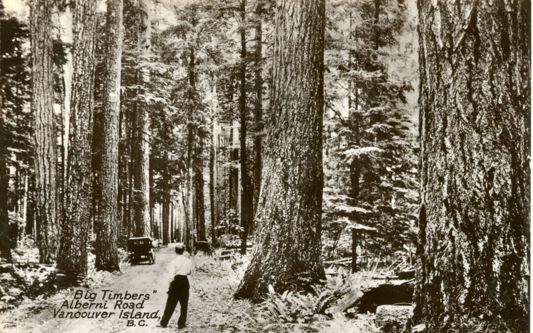 BC National Forest Week – Walking Tours