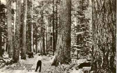 BC National Forest Week – Walking Tours