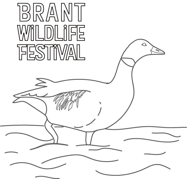 654785063_1395078839325754_9115705731830940689_n