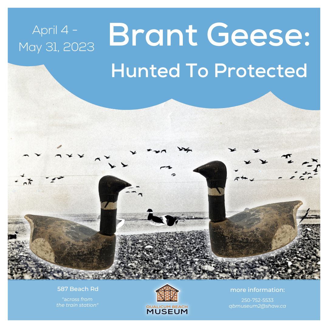 Brant Exhibit