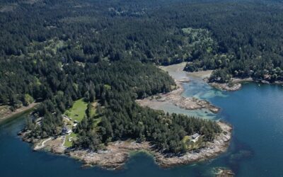 The Island in the Middle of Everywhere