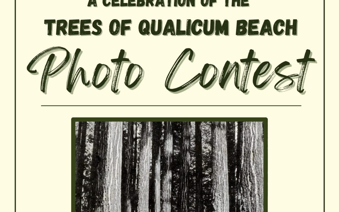 Photo Contest: A Celebration of Trees