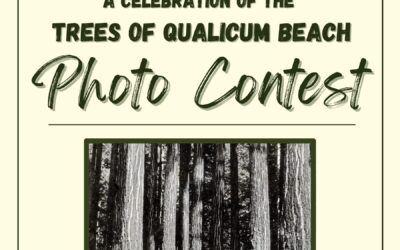 Photo Contest: A Celebration of Trees