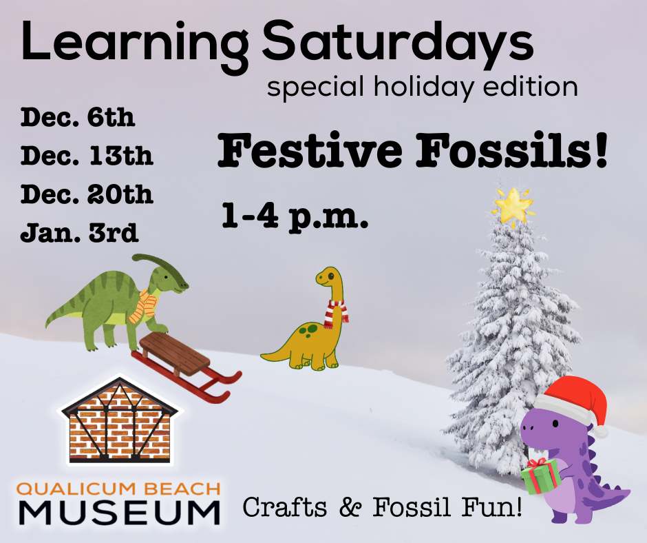 Festive Fossils Socials Post