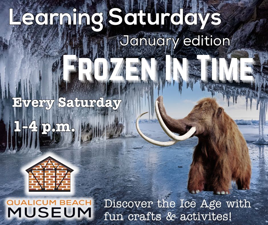 Festive Fossils Socials Post (2)