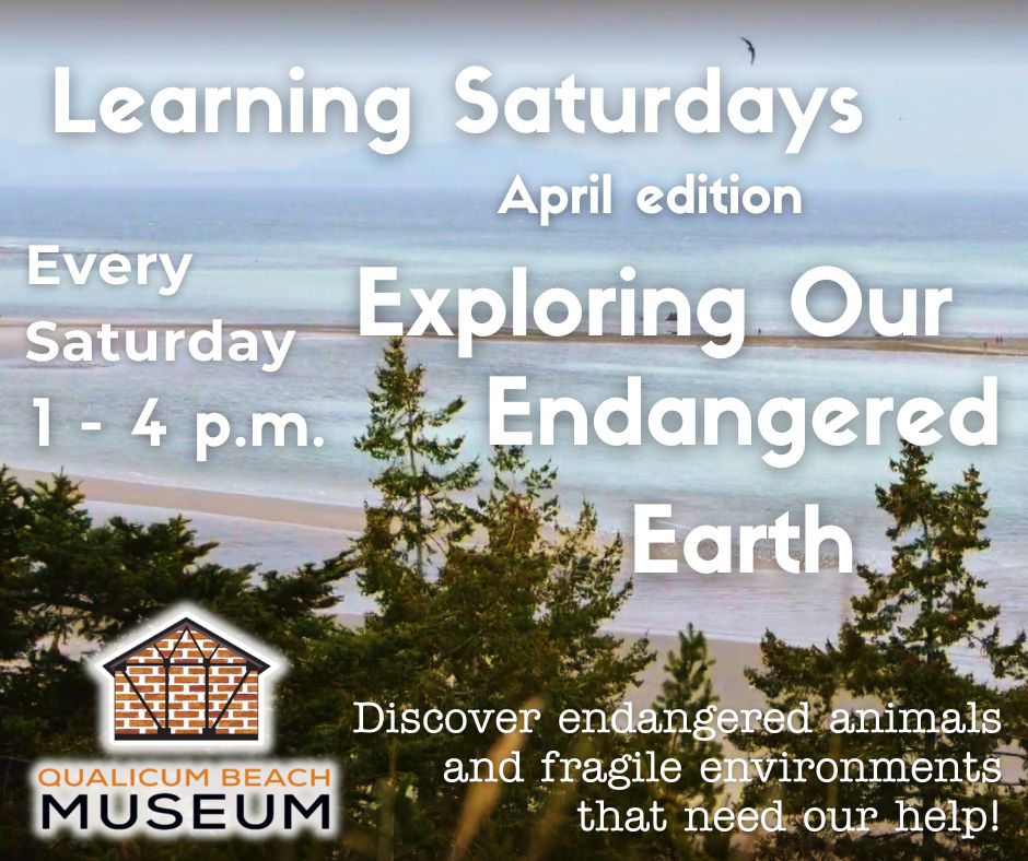 Learning Saturdays Socials Posts